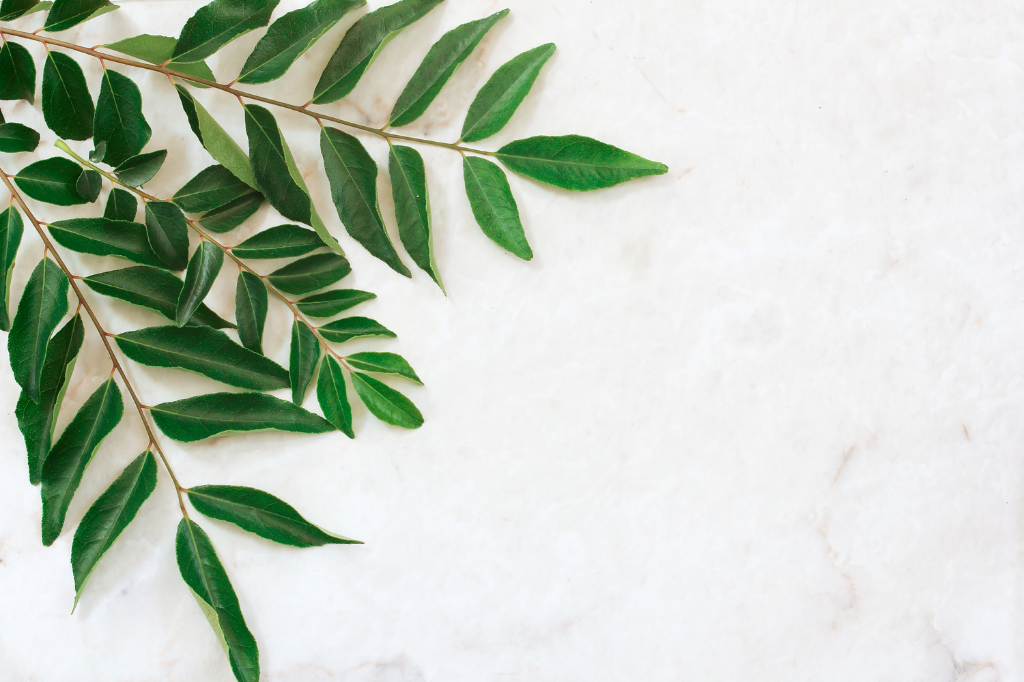 Mixing matcha with bamboo whisk, next to organic matcha package