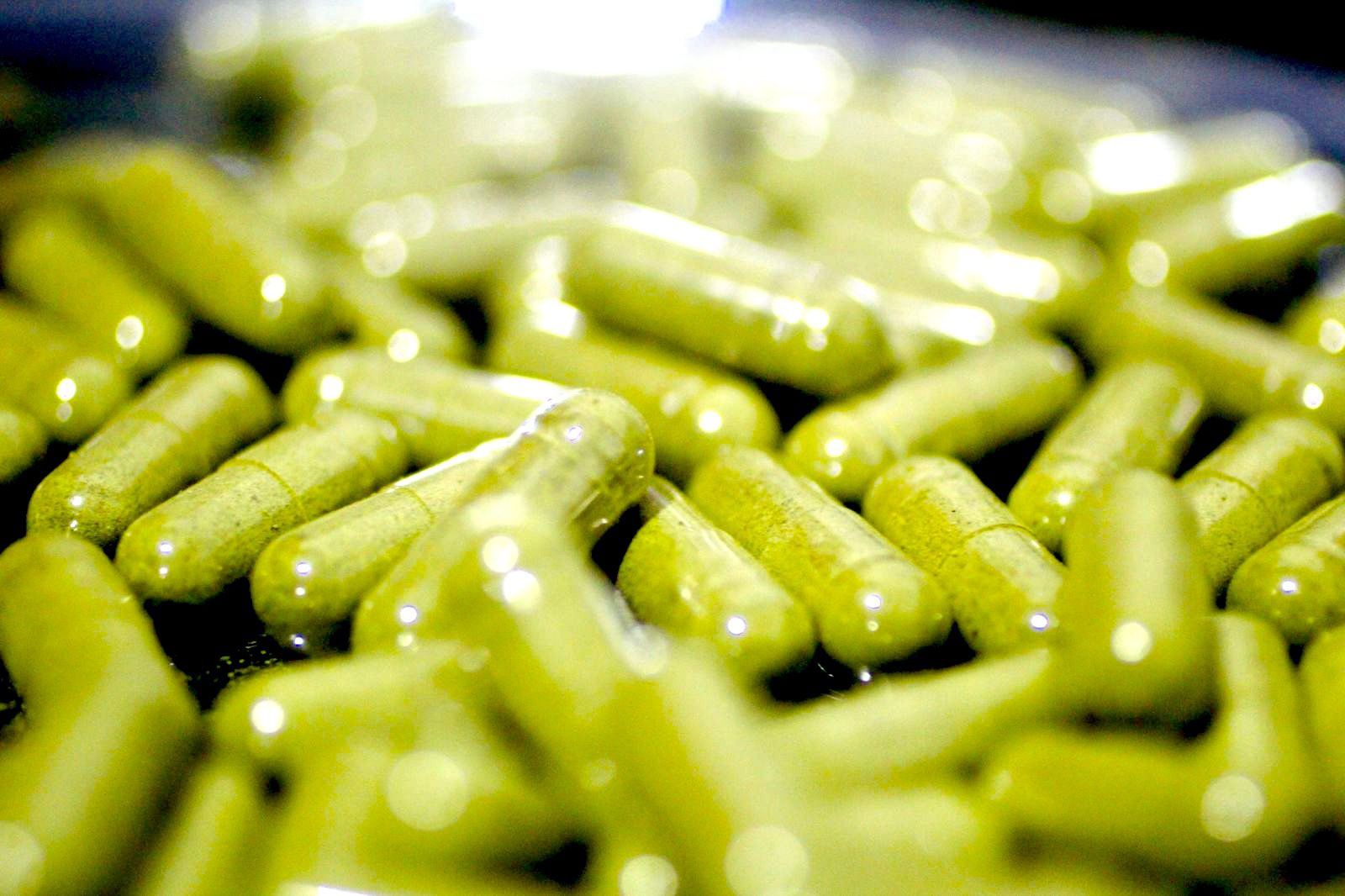 Woman holding matcha leaves in both hands